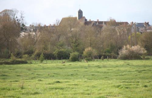 Neuille-le-Lierre Apartment | Fleurs de Brenne Gite