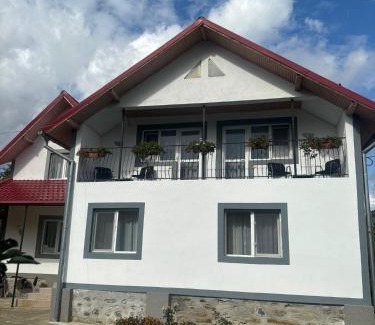 Capatineni-Ungureni House | Floare de colt