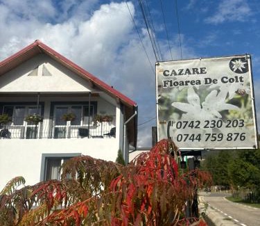 Capatineni-Ungureni House | Floare de colt