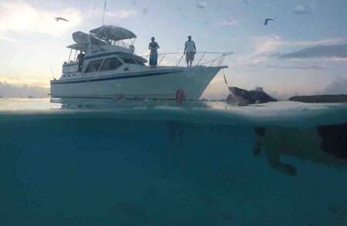 Exuma Boat Rental | Floating Hotel in Paradise ! Staniel Cay, Exuma,Bahamas!