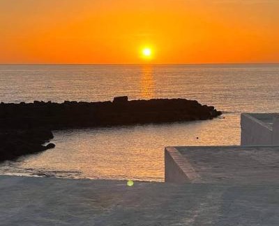 Los Cocoteros House | Flor de Mar
