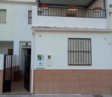 Puente De Genave House | Flor de Olivo