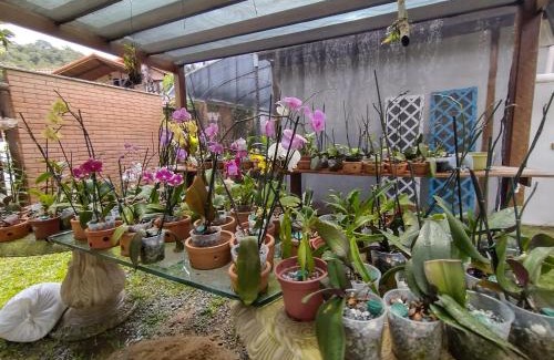 Sao Pedro da Serra Apartment | Flor de Orquídea guesthouse