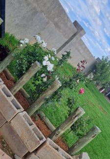 Lesotho House | Flora's Garden