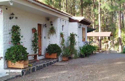 Icod de los Vinos House | Floral garden house