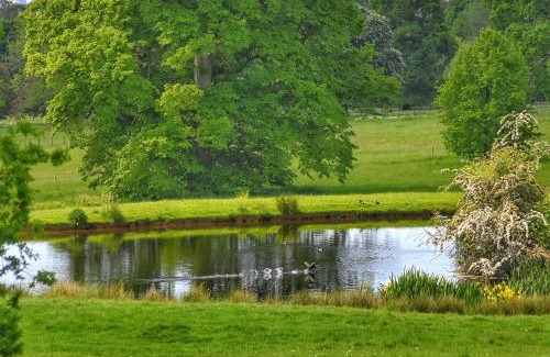 Pottersbury House | Flore House