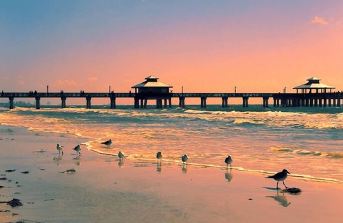 Jacarandas House | Florida tiny Vacation Home! Pet friendly!