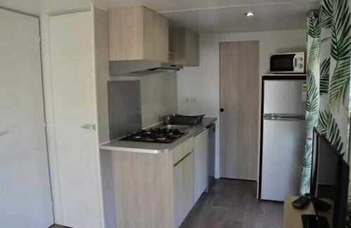 Rieux-de-Pelleport House | Flower Camping LES MIJEANNES * - Mobile-home Premium 29m2 - 2 bedrooms air conditioning +TV + dishwasher 4 people