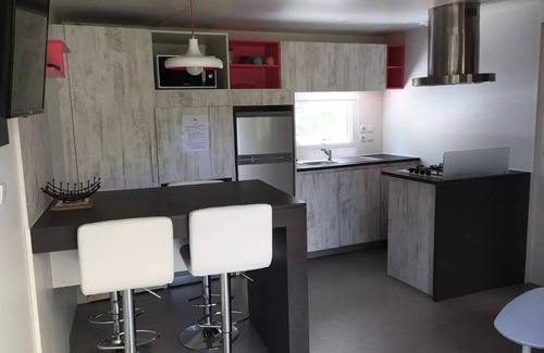 Saint Maime House | Flower Camping La Rivière * - Mobile home Premium 40m2 (2 bedrooms) + TV + LV + BBQ + Clim + 2 bathrooms 5 people