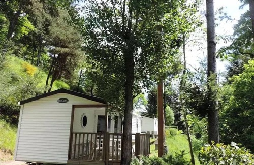 Neuveglise-sur-Truyere House | Flower Camping Le Belvédère * - Mobile home Comfort More PRADAL - 2 bedrooms 4 people