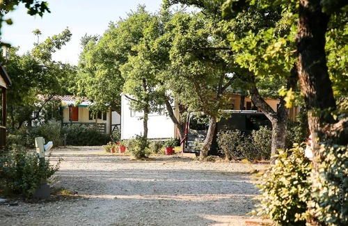 Banon Ski Chalet | Flower Camping le Epi Bleu * - Standard chalet 35m2 (2 bedrooms) - terrace included 10m2 5 persons