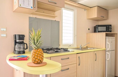 Castries House | Flower Camping le FONDESPIERRE * - Mobil-home COMFORT - 26m2 (2 bedrooms + air conditioning + tv) 4 people