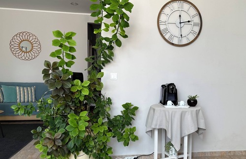 Boliqueime Cottage | Flower Country House Near the Sea