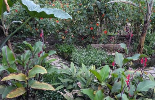 Kitojo House | Flower Hill Garden Retreat