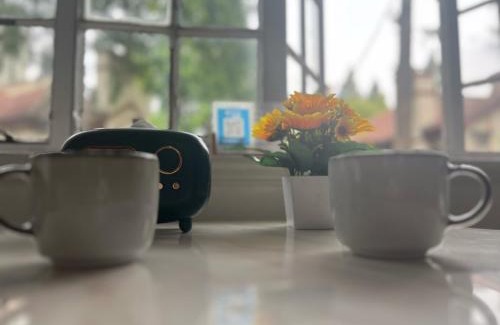Huaihai Road Commercial Area Apartment | flower155