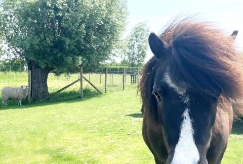 Hooglede Bed & Breakfast | Fluwine