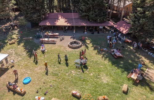 Almont House | Fly Fish Paradise: Pet-friendly Cabins with Horseback Riding and ATV Trails