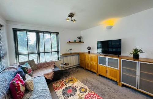 Crawley City Centre Apartment | Fly Hi-Town Centre Apartment