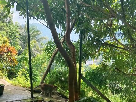 Anniwatta House | Fly Infinity - Home Stay Kandy