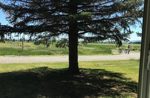 St. Anthony Other | Flyfishing Paradise right on Henry's Fork of Snake River/Close to Yellowstone Pk