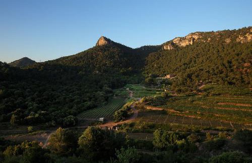 Falset Villa | Foïna dels Fontanals
