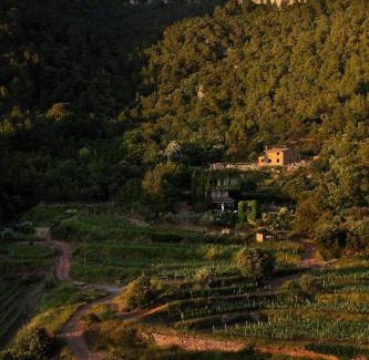Falset Villa | Foïna dels Fontanals