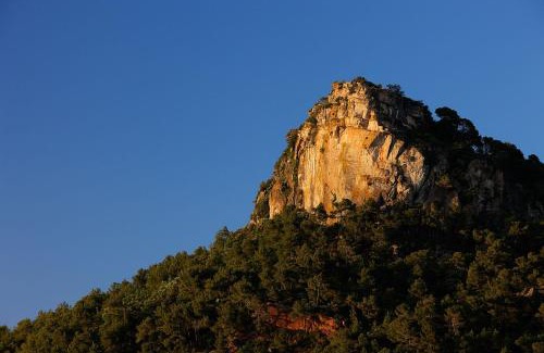 Falset Villa | Foïna dels Fontanals