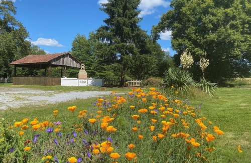 Blond RV Rental | Fonclaire Holidays - Carpers Rest Field View