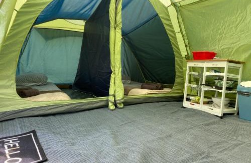 Blond Other | Fonclaire Holidays Carpers Rest