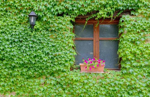 Beceite Hotel | Font del Pas