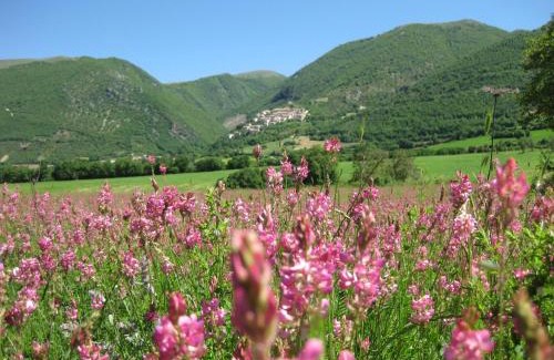 Casali di Serravalle House | FonteAntica Agriturismo