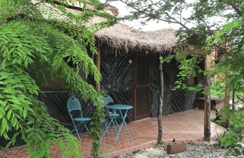 Gunjur Cabin | Footsteps Eco-Lodge