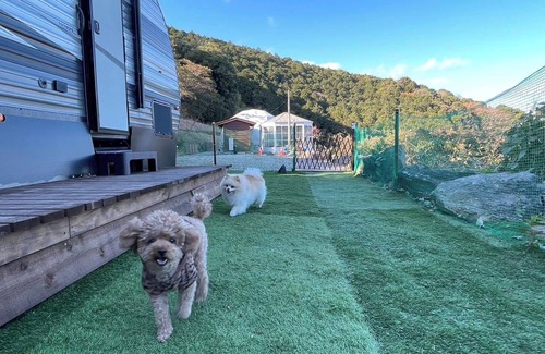 Futo Cabin | For 4 people Dogs welcome Dome tent 6mE traile/Ito Shizuoka