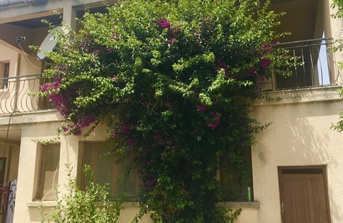 Abbazia House | For a friendly holiday