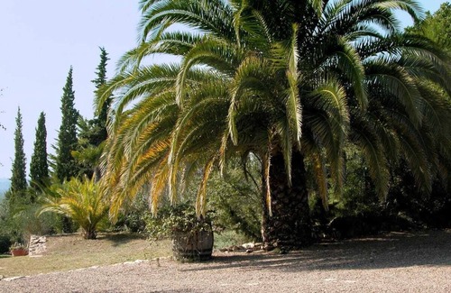 Vespella de Gaia Villa | For groups and families. Close to Port Aventura, Costa Dorada and golf courses.