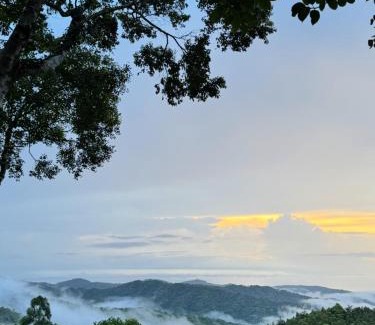 Real Bed & Breakfast | Forest 101