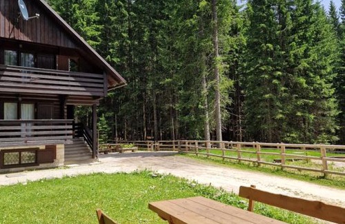 Goreljek Apartment | Forest Apartments Pokljuka