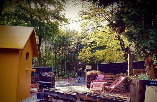 Kluisbergen Bed & Breakfast | Forest Bathing - Dreaming among Trees
