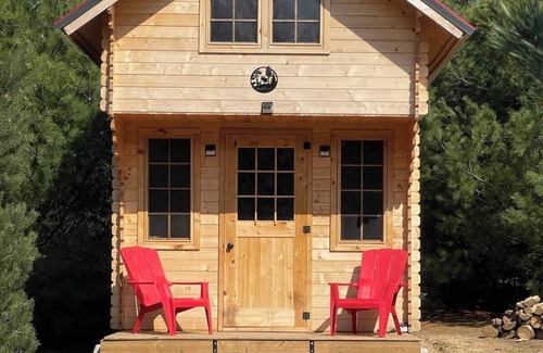 Langton Apartment | Forest Bunkie Trails & Stargazing