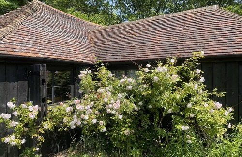 Abbess Roding Cabin | Forest cabin in the Kent countryside – pet friendly!