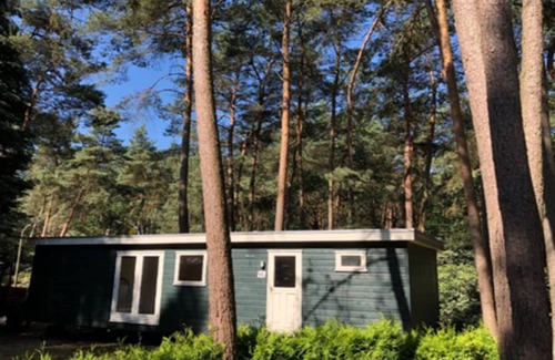 Wechelderzande Ski Chalet | Forest Chalet, Antwerp