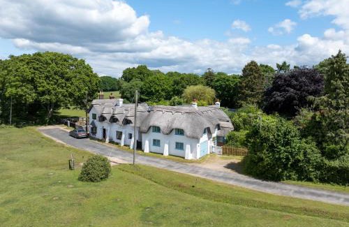 New Forest District House | Forest Cottage