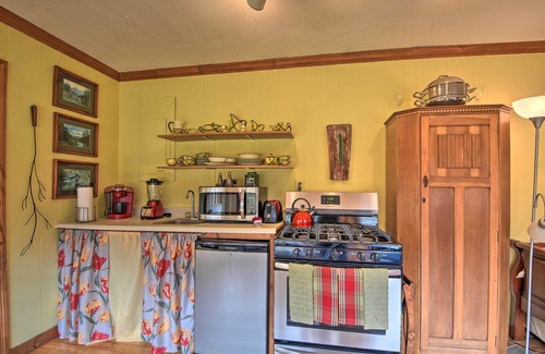 Murphy Cabin | Forest Fantasy: Pet-Friendly Smoky Mtn Escape!