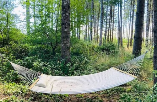 Olympia House | Forest Hideaway House with hot tub and trail