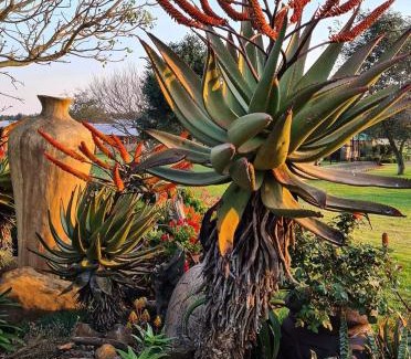 Mkhondo House | Forest Hill Country Lodge