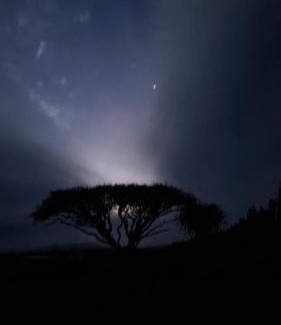 Mkhondo House | Forest Hill Country Lodge