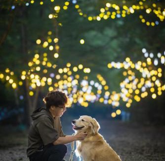 Nasu Hotel | Forest Hills Nasu