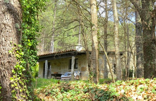 Covas House | Forest House Casinha do Carvalhal
