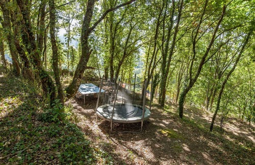 Covas House | Forest House Casinha do Carvalhal