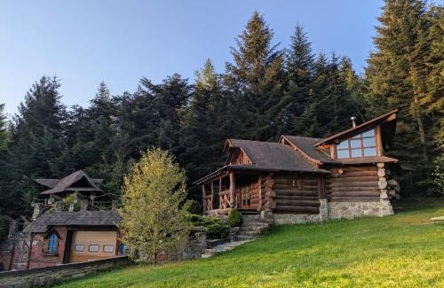 Skhidnytsya Ski Chalet | Forest House exclusive